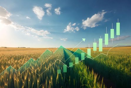 matières premières agricoles