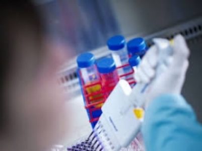 La promesse d'un vaccin redonne de l'élan